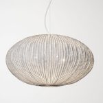 arturo alvarez coral seaurchin