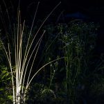 Wie leuchtendes Gras das ist die Munich Reeds von Lichtlauf
