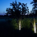 Wie leuchtendes Gras das ist die Munich Reeds von Lichtlauf