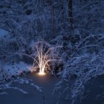 Wie leuchtendes Gras das ist die Munich Reeds von Lichtlauf